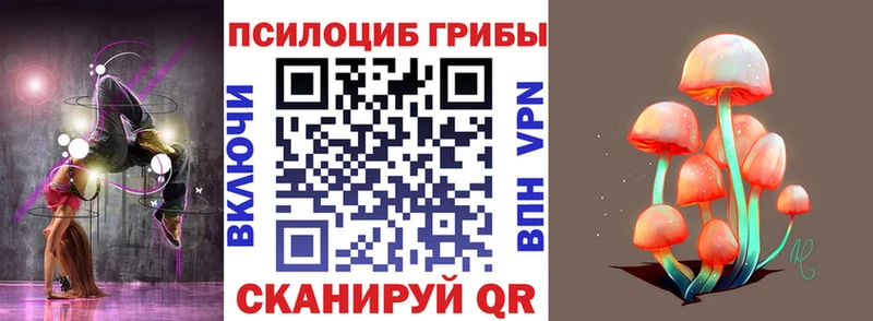купить наркотики сайты  Белёв  Псилоцибиновые грибы Cubensis 